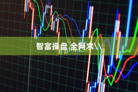 智富操盘 全网求\