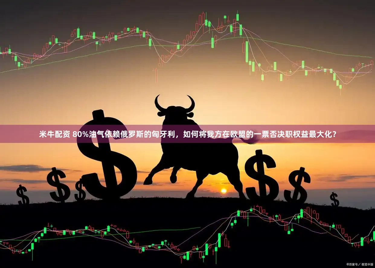 米牛配资 80%油气依赖俄罗斯的匈牙利，如何将我方在欧盟的一票否决职权益最大化？