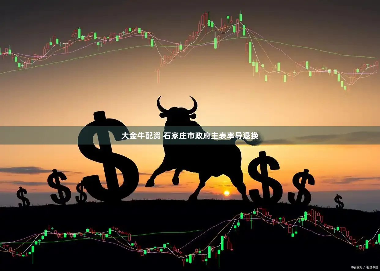 大金牛配资 石家庄市政府主表率导退换