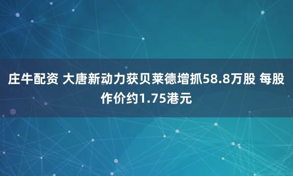庄牛配资 大唐新动力获贝莱德增抓58.8万股 每股作价约1.75港元