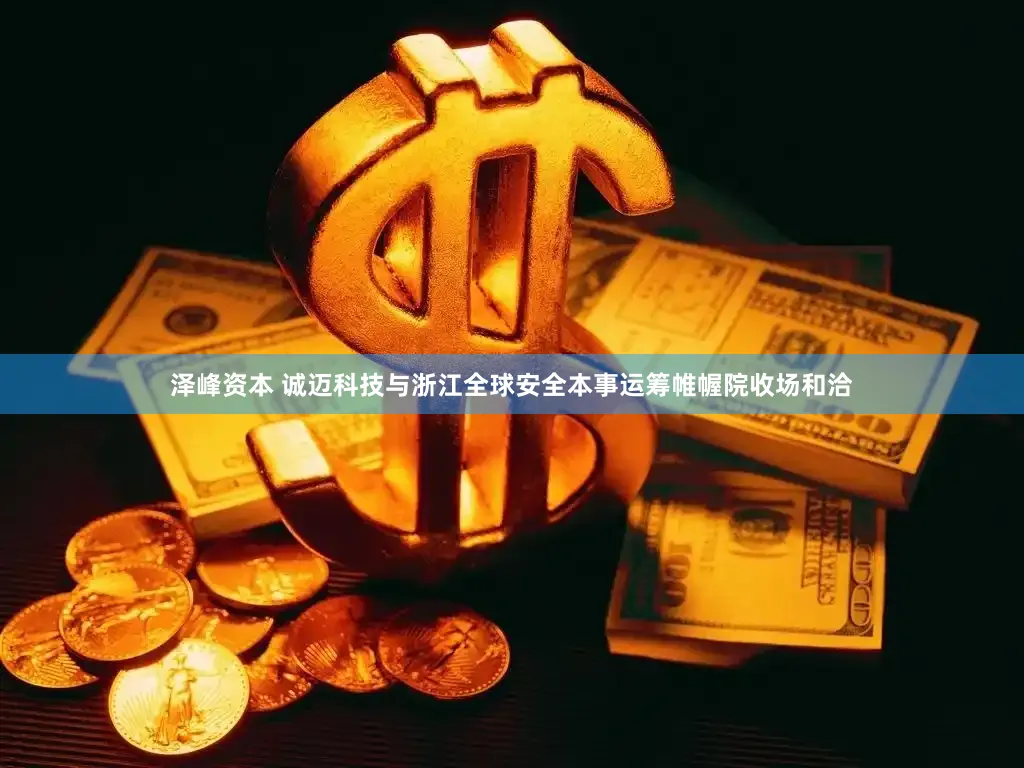 泽峰资本 诚迈科技与浙江全球安全本事运筹帷幄院收场和洽
