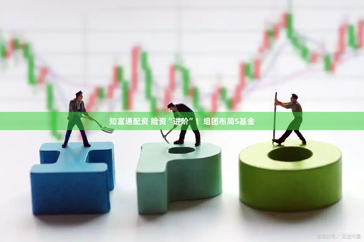 知富通配资 险资“进阶”！组团布局S基金