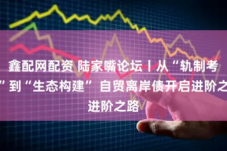 鑫配网配资 陆家嘴论坛丨从“轨制考证”到“生态构建” 自贸离岸债开启进阶之路
