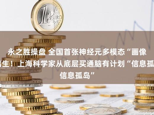 永之胜操盘 全国首张神经元多模态“画像”出生!上海科学家从底层买通脑有计划“信息孤岛”