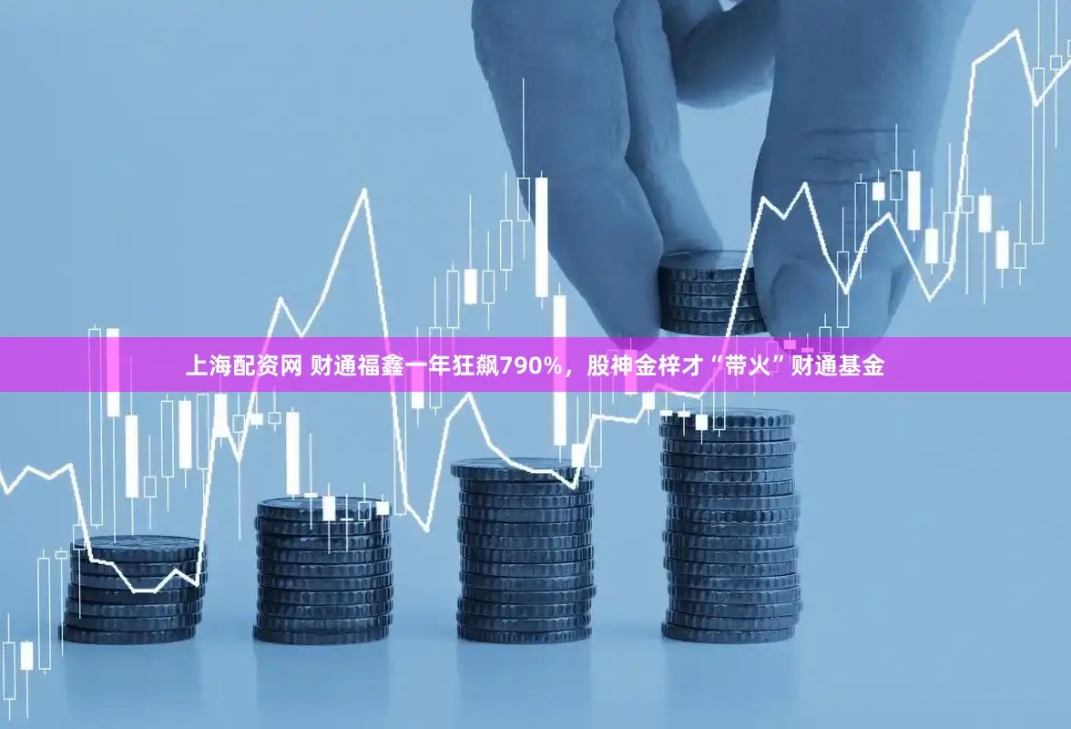 上海配资网 财通福鑫一年狂飙790%，股神金梓才“带火”财通基金