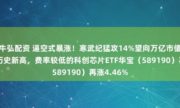 牛弘配资 逼空式暴涨！寒武纪猛攻14%望向万亿市值，10余股历史新高，费率较低的科创芯片ETF华宝（589190）再涨4.46%